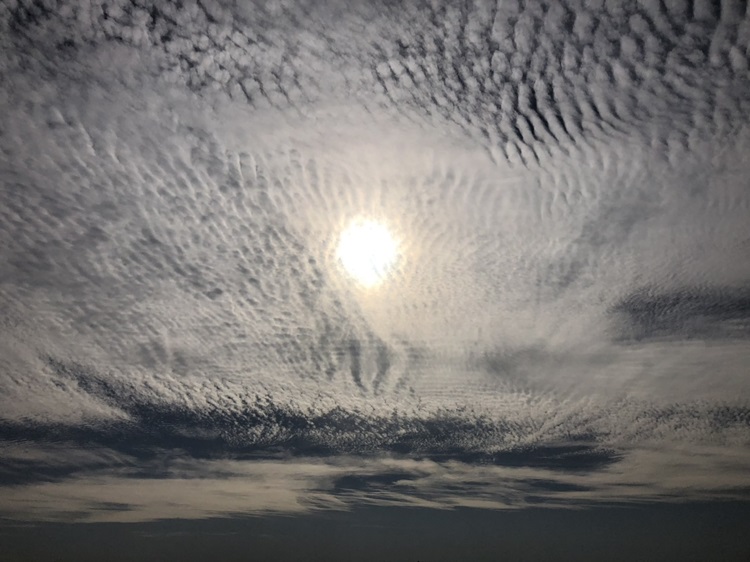 薄雲に透ける太陽