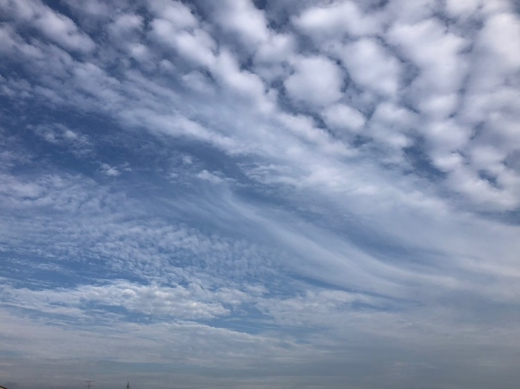いろいろな形の雲